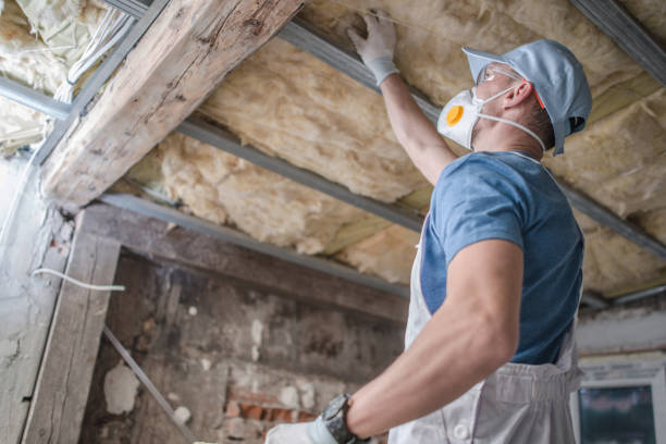 Best Energy Efficiency Solutions in Lincoln, AL