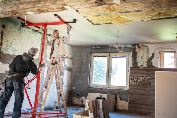 Best Insulation Installation Services in Lincoln, AL