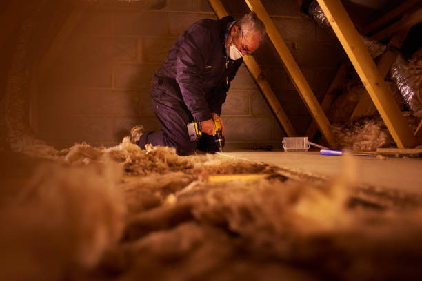 Best Insulation for Specific Applications in Lincoln, AL